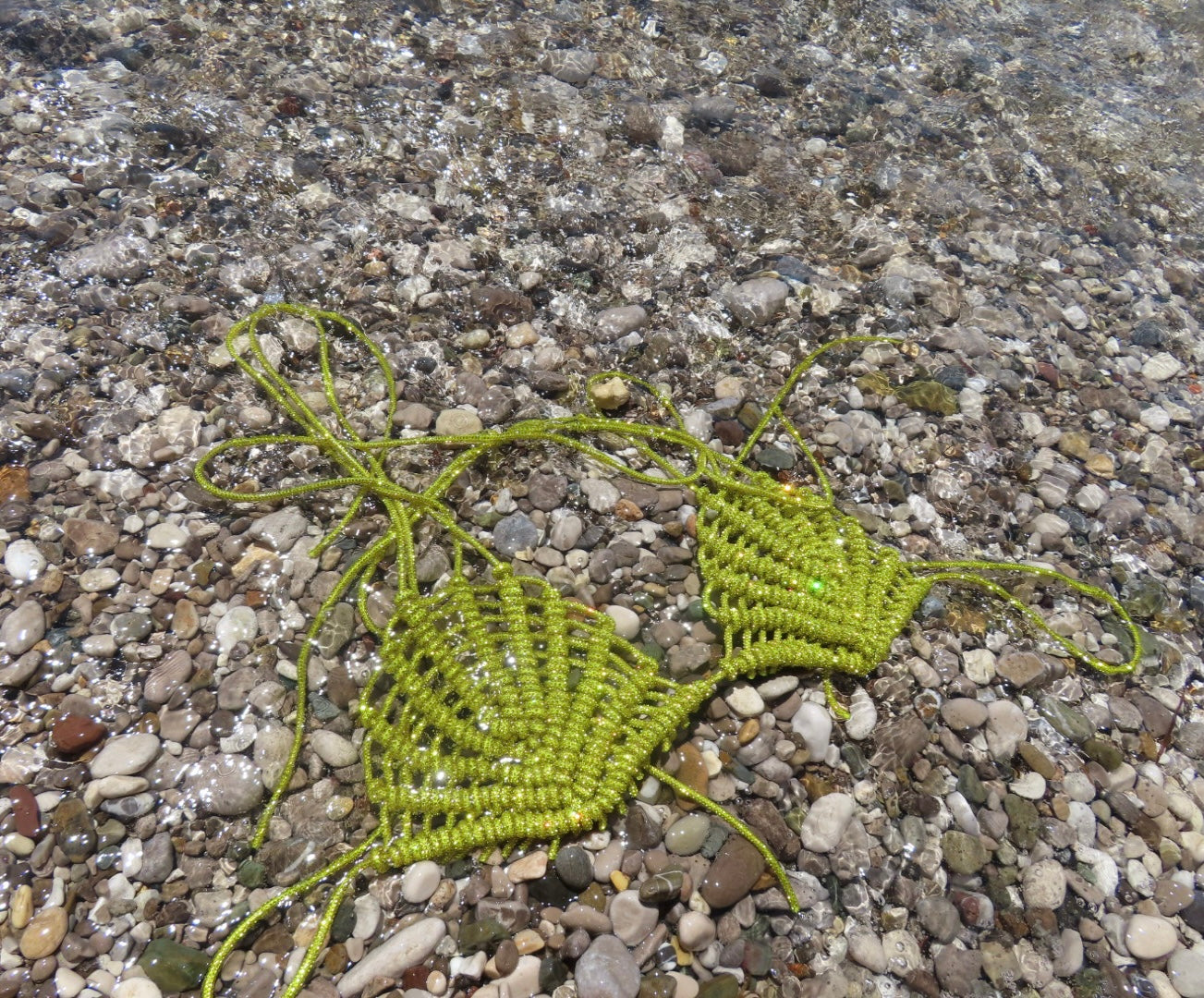 Bra conchiglia giallo